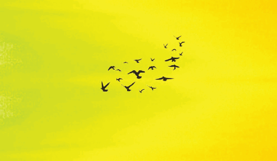 Rattling the Bars of Your Creative Life