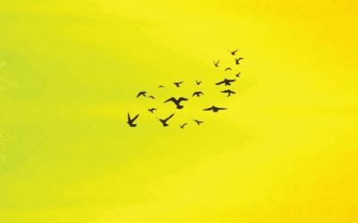Rattling the Bars of Your Creative Life